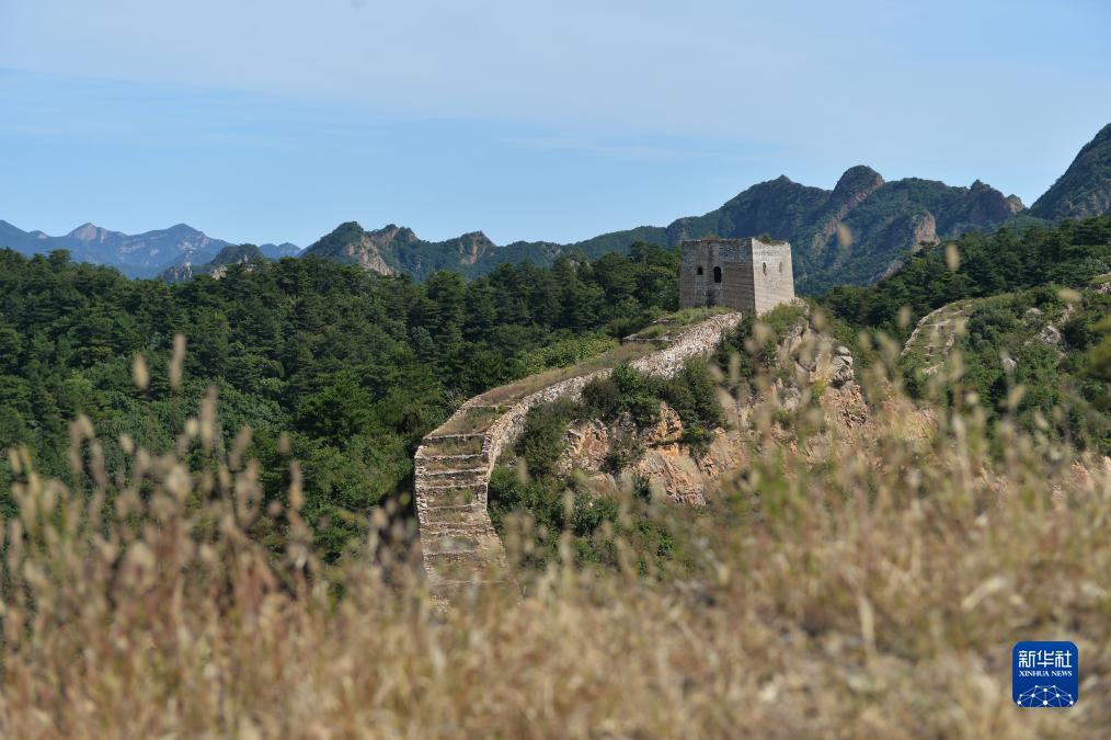 皇爵平台注册